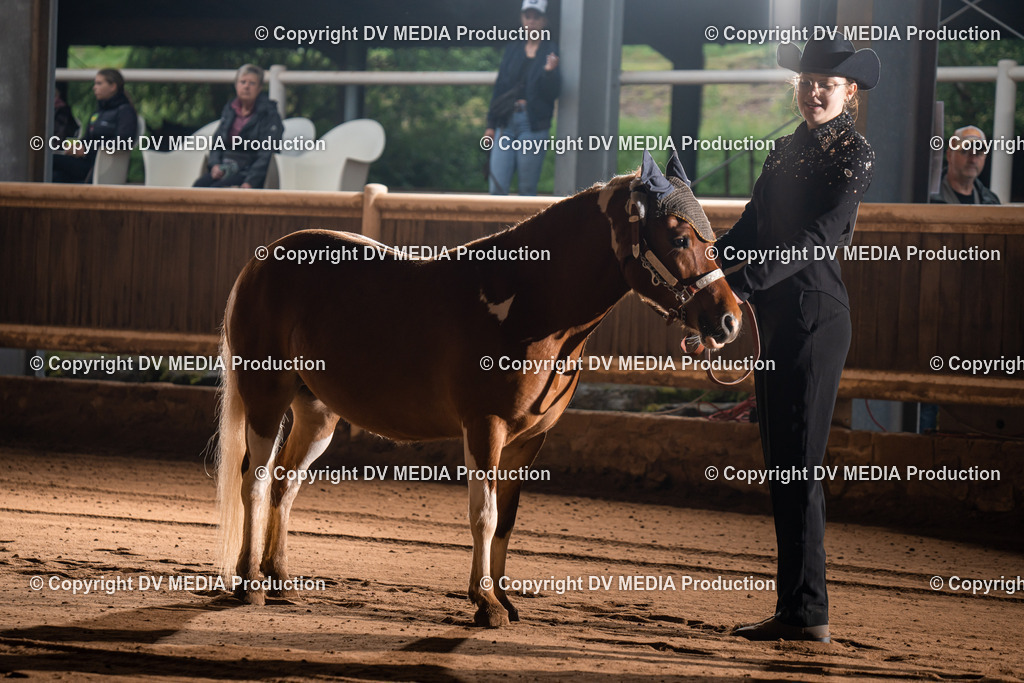 Erbach Tag 2-127 | dv-media-shop - Realisiert mit Pictrs.com