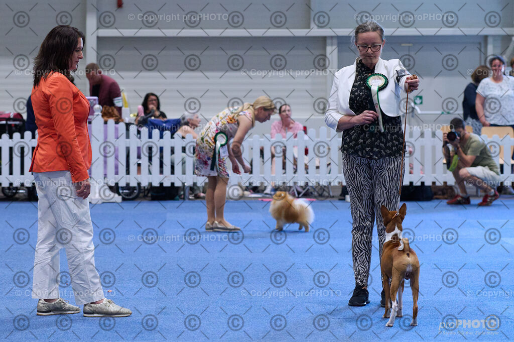 202406_ÖKV-IHA-Tulln24_DSC_3949 | proPHOTO - Realisiert mit Pictrs.com