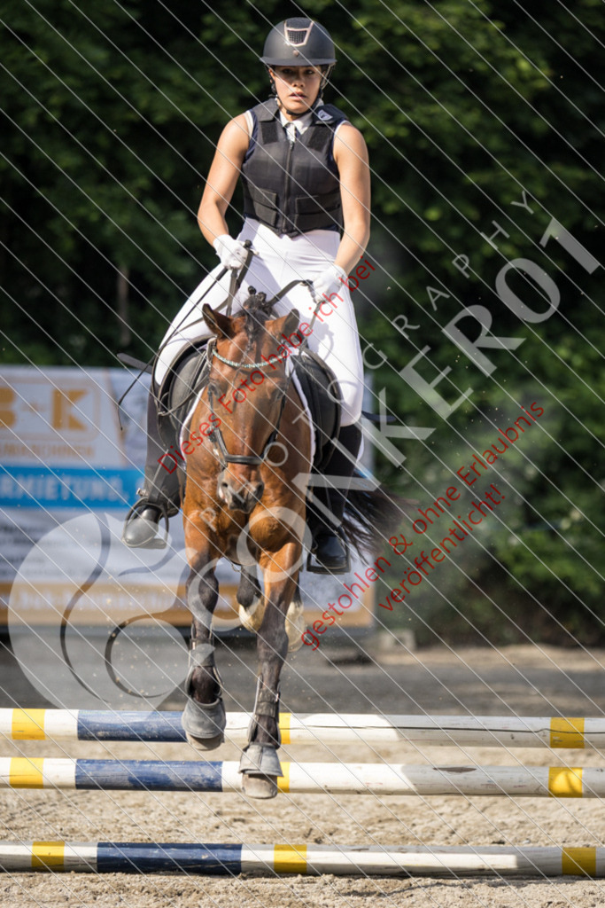 IMG_5950 | Sport-, Event- und Tierfotos in Profiqualität. Einfach auswählen, bestellen und herunterladen. Dein Moment – perfekt festgehalten.