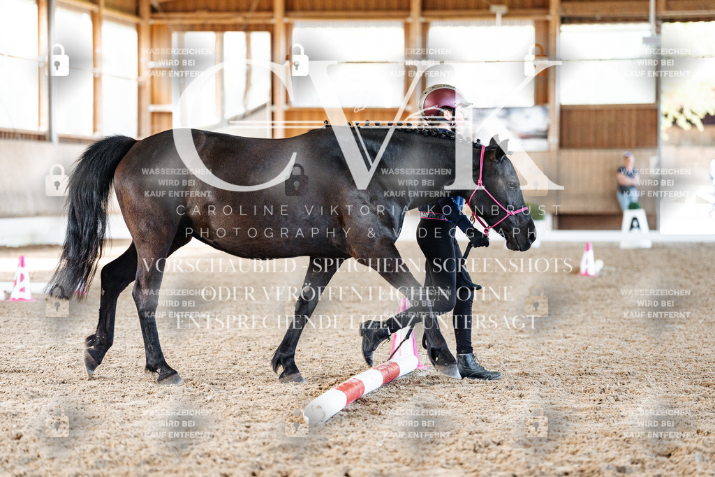 CK906004 | Turnierfotografie Pferdefotografie Trier Rheinland-Pfalz Pferdesport Reitsport Tierfotografie Sportfotografie Pferdevideo Pferdevideografie Equestrianvideography equestrianphotography  - Realisiert mit Pictrs.com