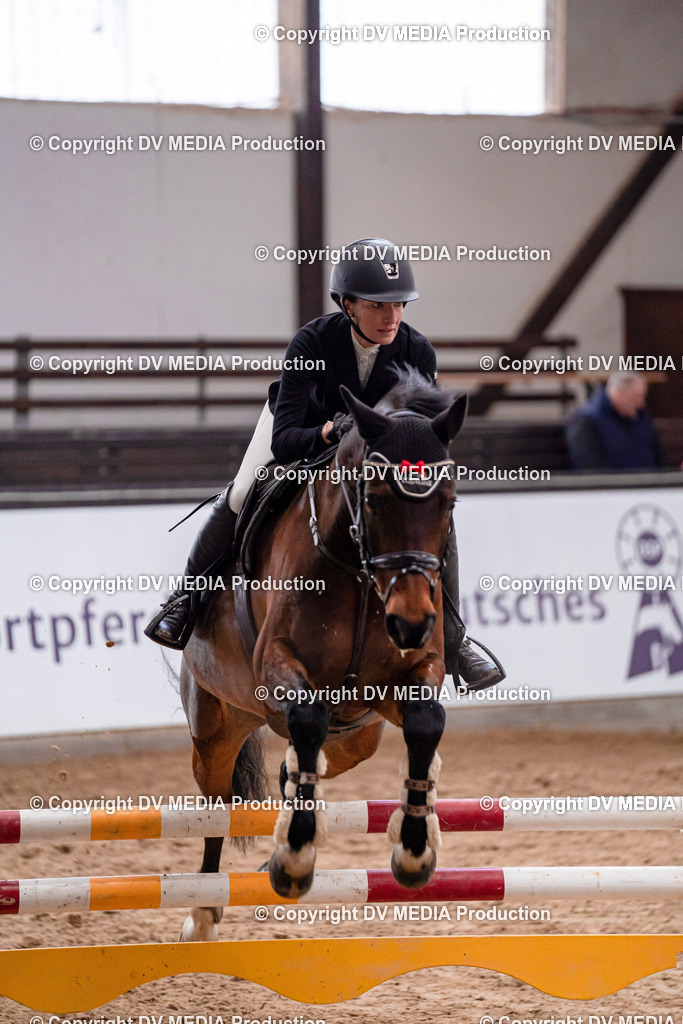 Kranichstein Tag 3-185 | dv-media-shop - Realisiert mit Pictrs.com