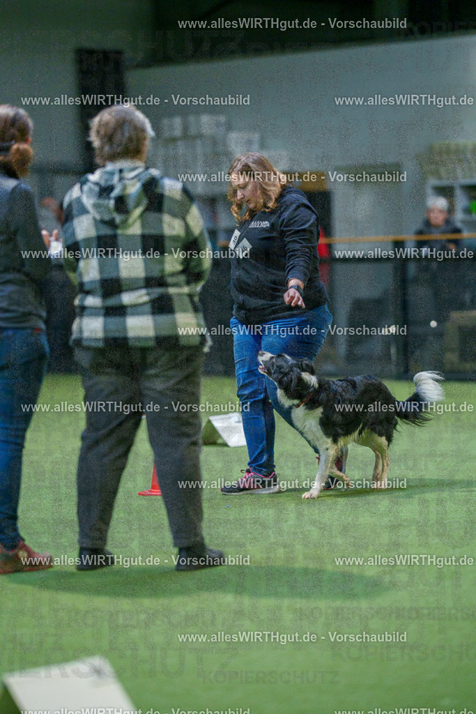 7R500623 | Professionelle Tierfotografie in Mönchengladbach von Daniel Wirth (allesWIRTHgut). Liebevolle & natürliche Bilder von Hunden & Katzen für unvergessliche Erinnerungen.