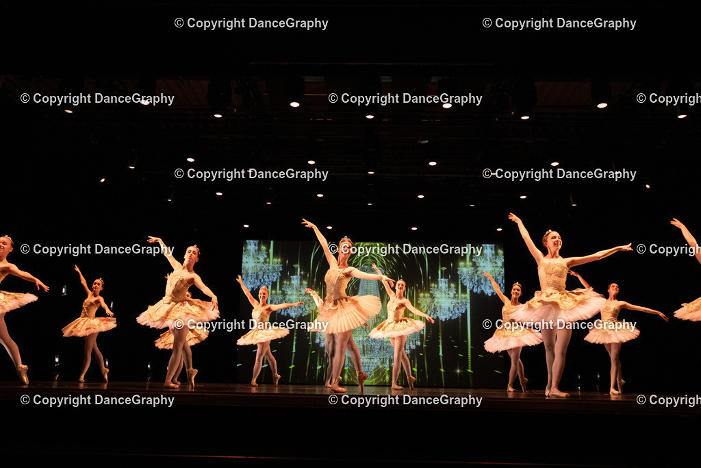 GPHY6562 | DanceGraphy - Realisiert mit Pictrs.com