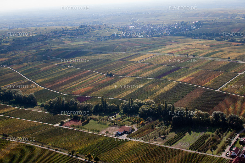 Felder einer Weinbergs- Landschaft der Winzer- Gebiete | Luftbild: Felder einer Weinbergs- Landschaft der Winzer- Gebiete in Ranschbach im Bundesland Rheinland-Pfalz in Deutschland. Foto: IMG_22335.jpg vom 15.10.2009 durch Werner Riehm/FLY-FOTO.de - Realisiert mit Pictrs.com