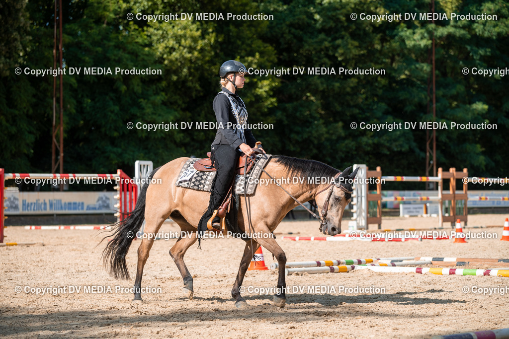 EWP_6943 | dv-media-shop - Realisiert mit Pictrs.com