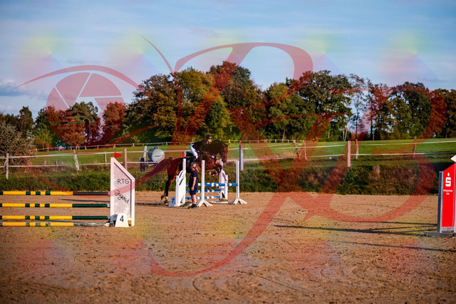 2026_10_03_Siefer-Hof_171044_Z81_07647903 | Professionelle Reitsport-, Turnier- und Eventfotografie von Robert Broda. Galerien mit ausgewählten und bearbeiteten Bildern direkt online ansehen und bestellen.