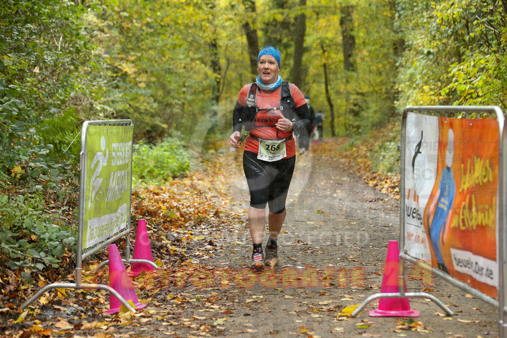 251026_1406_EX1_4099 | Sportfotografie im Rhein-Sieg Kreis, Köln, Bonn, NRW, Rheinland Pfalz, Hessen, etc. Unser Tätigkeitsfeld umfasst den Laufsport vom Volkslauf über den Marathon, Duathlon, Triathon bis zum Ultralauf wie Kölnpfad Ultra oder Schindertrail.