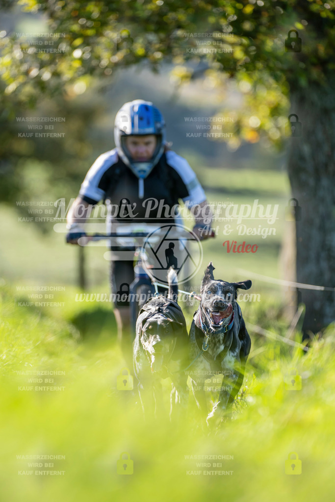 MompixPhotography_20TSB_E3_DS2-36 | PayLife