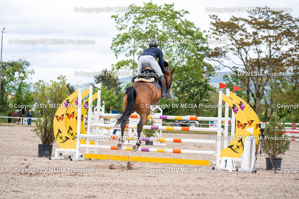 Eppelheim Tag 1-281 | dv-media-shop - Realisiert mit Pictrs.com