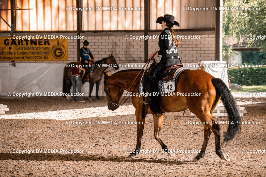 ZH200013 | dv-media-shop - Realisiert mit Pictrs.com