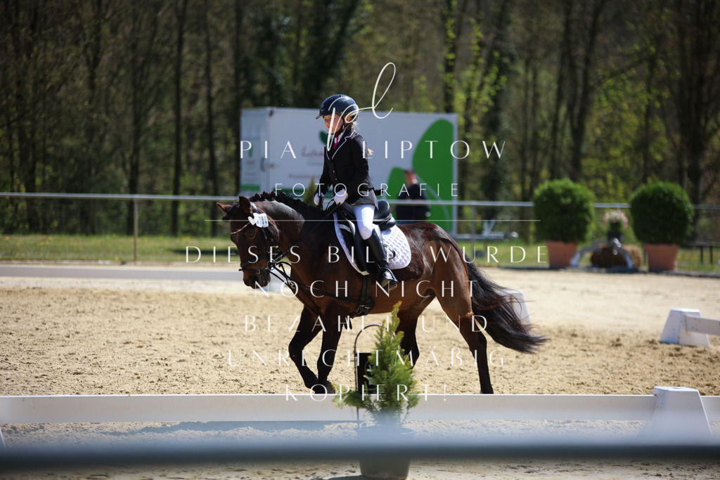 IMGT1382 | pl-fotografie