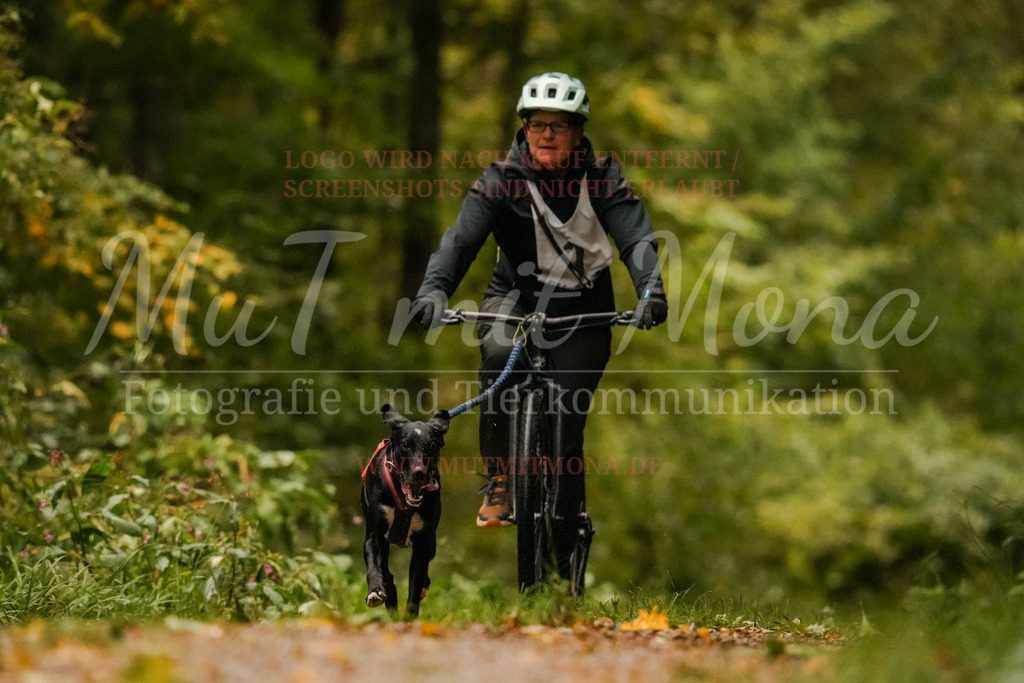20251005_THS_Turnier-68 | MuT (Mensch und Tier) mit Mona - Fotografie und Tierkommunikation - Realisiert mit Pictrs.com