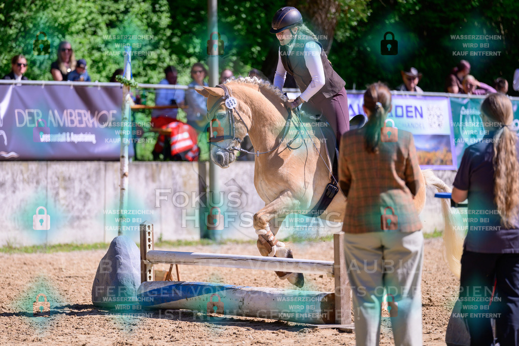 01052026-Giesenbach-02-Stiltrail-0530 | Fokus Hufschlag Fotografie - Realisiert mit Pictrs.com
