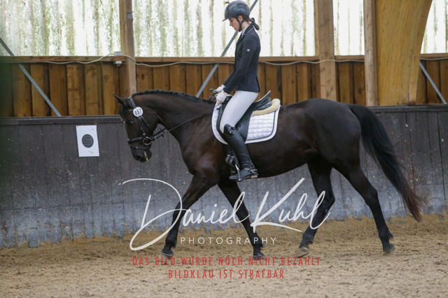 IMG_0650 | Turniersportfotografie; Pferdefotografie; Dressurfotografie