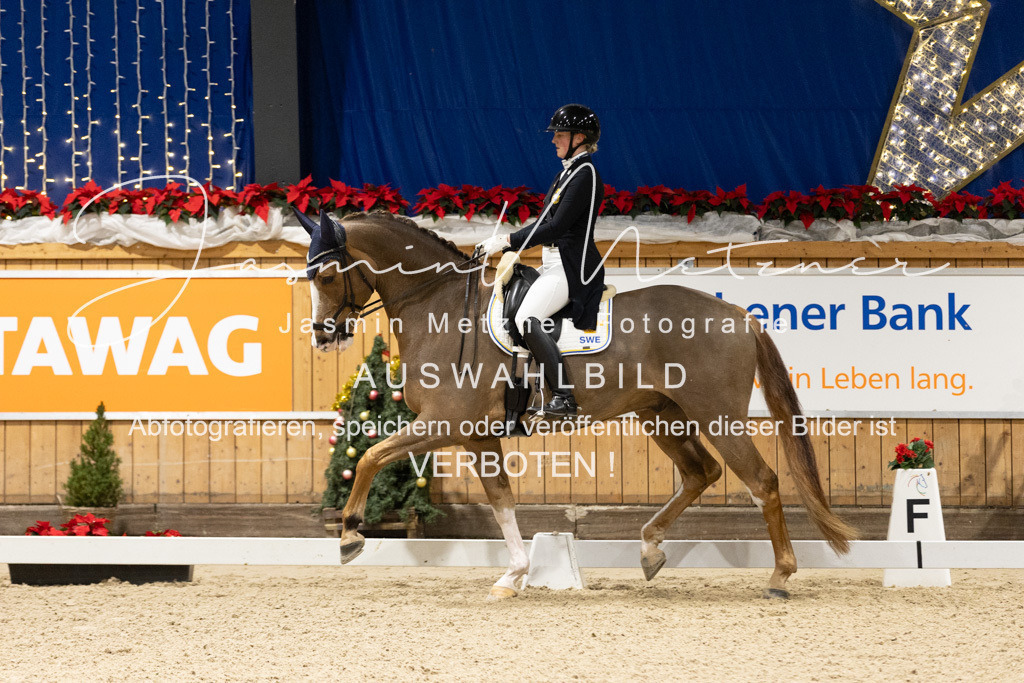 126A3971 | jasminmetznerfotografie