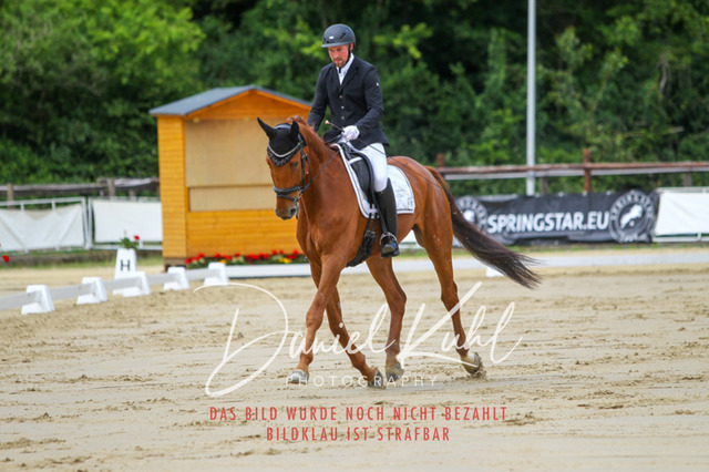 DKP46208 | Turniersportfotografie; Pferdefotografie; Dressurfotografie