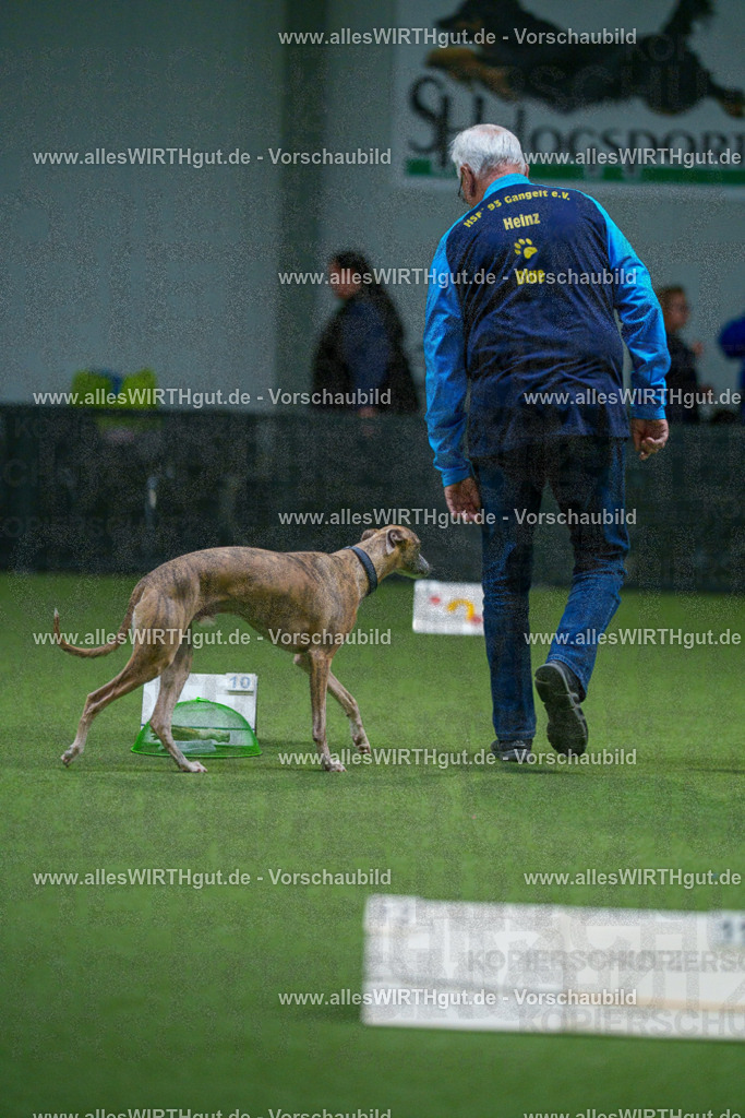7R500348 | Professionelle Tierfotografie in Mönchengladbach von Daniel Wirth (allesWIRTHgut). Liebevolle & natürliche Bilder von Hunden & Katzen für unvergessliche Erinnerungen.