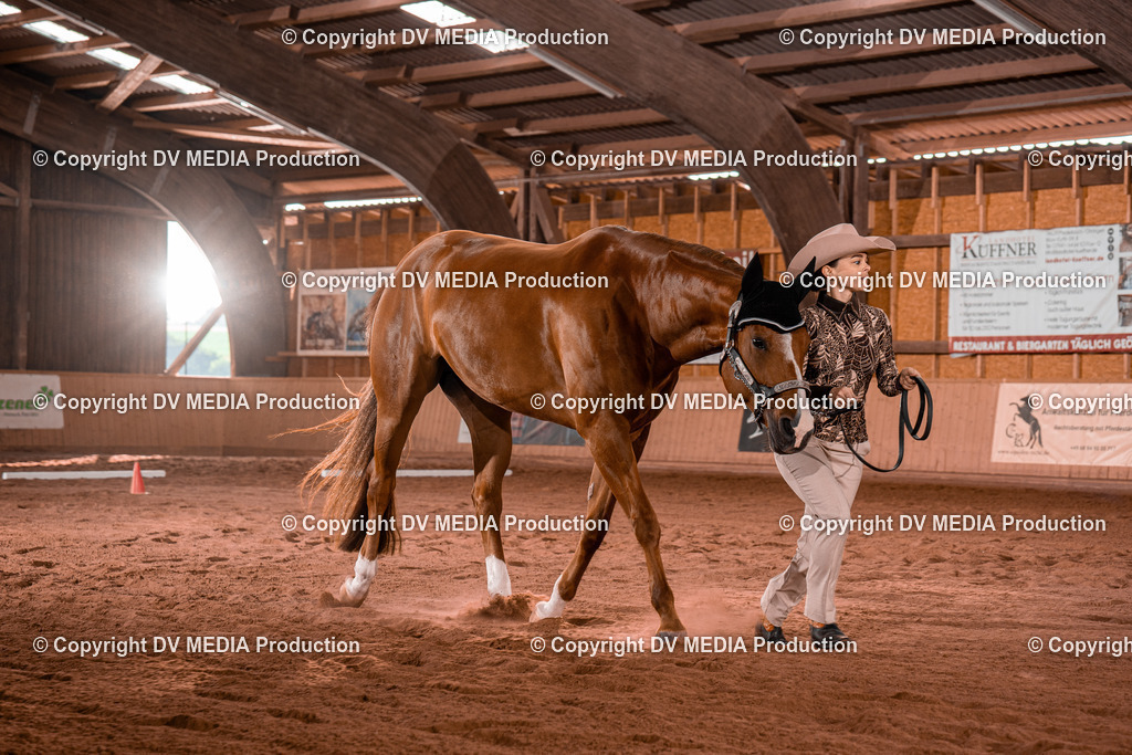 NE100123 | dv-media-shop - Realisiert mit Pictrs.com