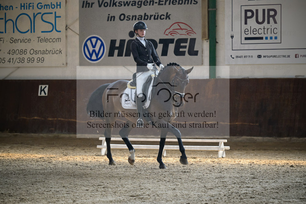Reitturnier Voxtrup | Entdecke hochwertige Reitturnierfotos von Foto Oger. Professionell, emotional und authentisch – jetzt Lieblingsmomente im Shop bestellen.Deutschlandweite Turnierfotografie. - Realisiert mit Pictrs.com