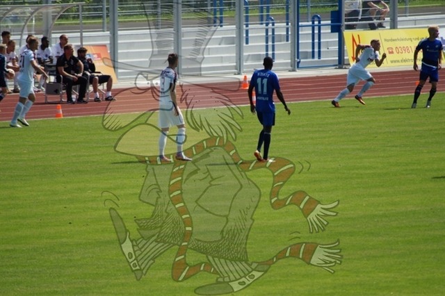 TSG Neustrelitz vs. BFC Dynamo 017 | mythos-online-redaktion