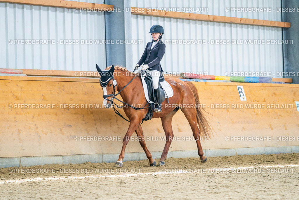 DSC04311 | Pferdegrafie