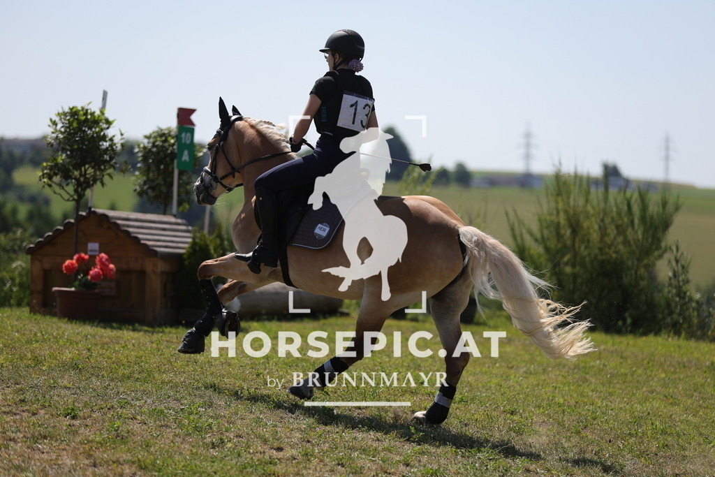 0P6A3193 | Willkommen bei Brunnmayr - Design & Fotografie – Ihrem Spezialisten für Reitturniere und Pferdeveranstaltungen in Oberösterreich, Salzburg und Bayern! Seit über 17 Jahren sind wir leidenschaftlich dabei.