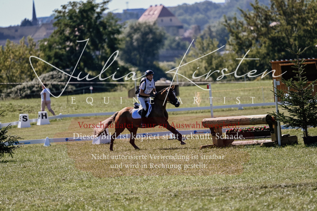 DSC_2086 | Pferde- und Turnierfotografie in Westsachsen. Pferdeportraits, Auftragszeichnungen und intuitive Kunst.