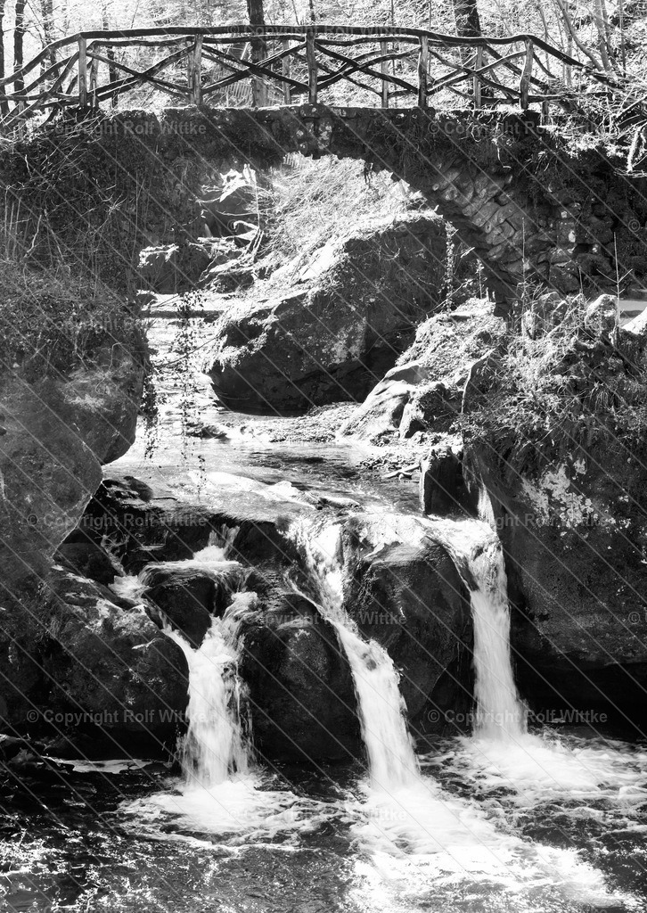 Schiesser Tümpel | Rolf Wittke  - Realisiert mit Pictrs.com