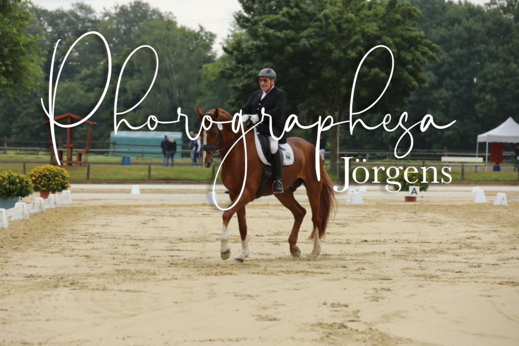 IMG_5076 | photographesa-joergens - Realisiert mit Pictrs.com