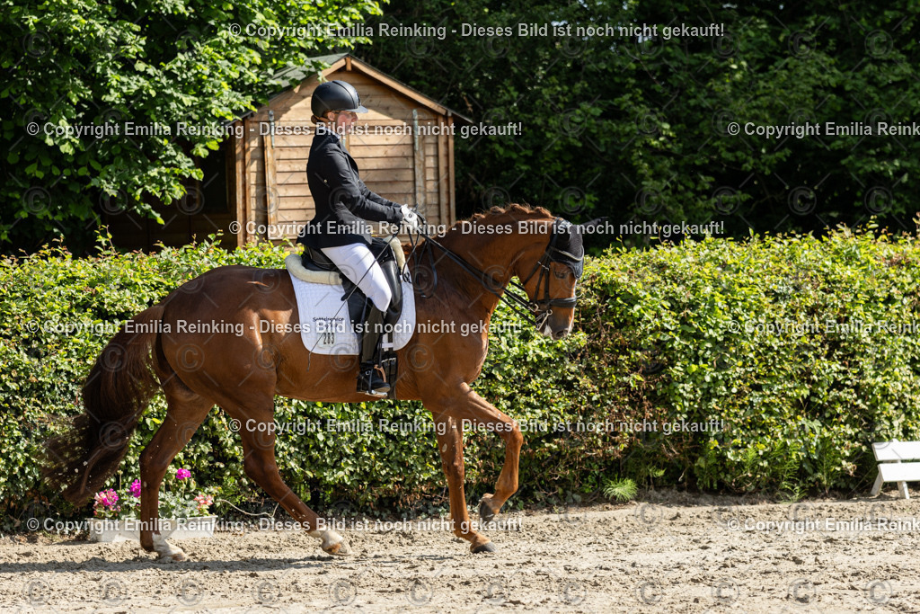 CL5A7430 | Emilia Reinking Fotografie - Realisiert mit Pictrs.com