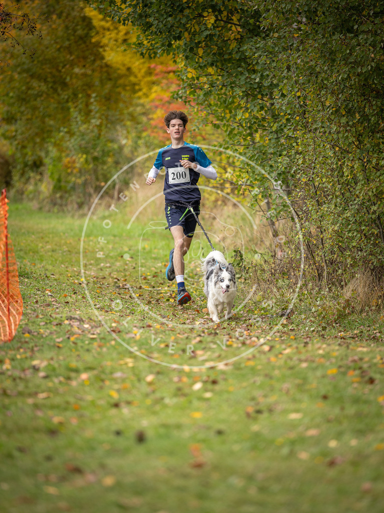 Pfotenfotografie_DV3A3783 | Hundefotografie, Tierfotograf, Pfotenfotografie, Fotoshooting Hund, Hunde Portrait, Hundesport, Hundeportraits, Heideshooting, Hunde, Sportfotograf, Hundefotograf, Turnierhundsport, THS,  - Realisiert mit Pictrs.com