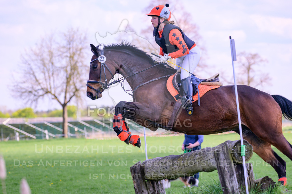 18042026-Gernlinden-04-1-0563 | Fokus Hufschlag Fotografie - Realisiert mit Pictrs.com