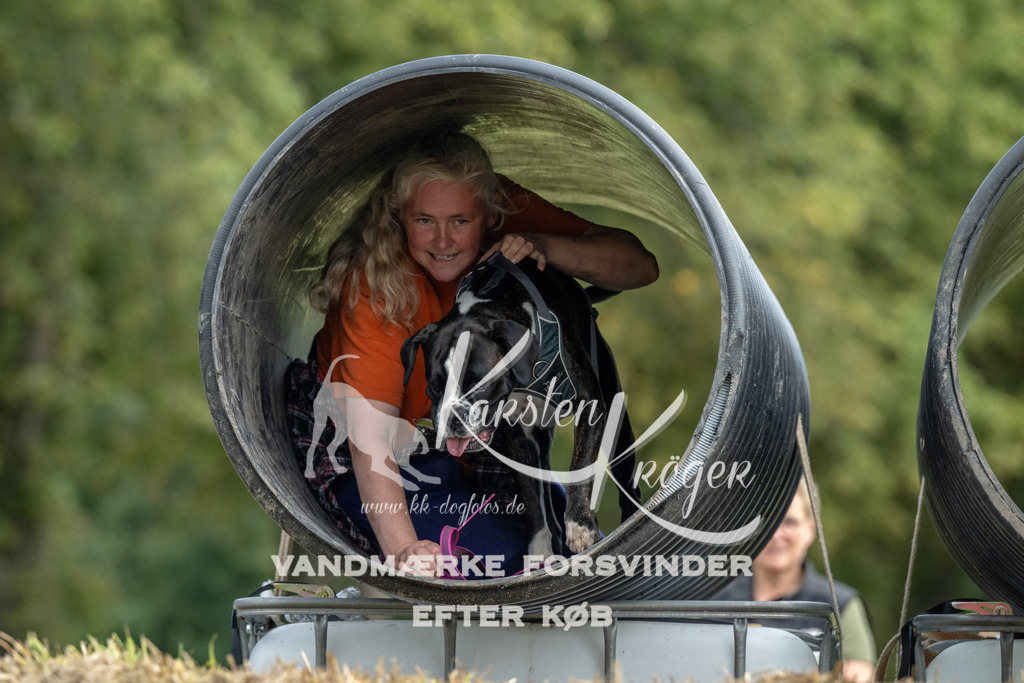 1146_ZZ90385 | kk-dogfotos