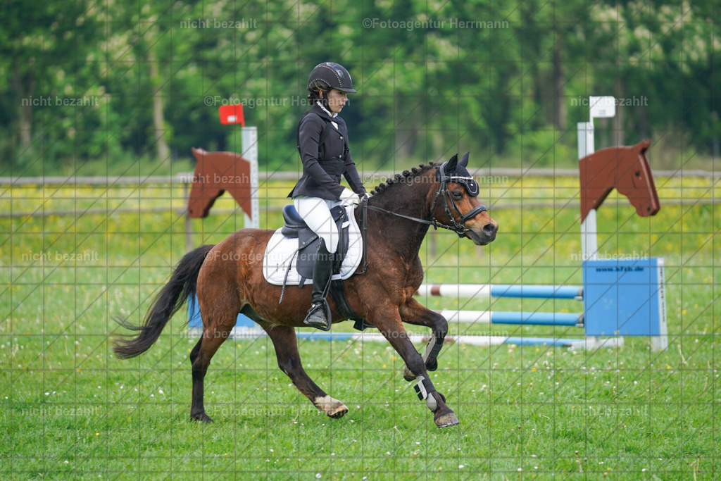 20240509-FAH02292 | Turnierbilder der Turnierfotografen Bayern, Pferdesport Fotografie, Reitsportbilder, Turnier Landberg am Lech, Turnierbilder bayern, Fotoagentur Herrmann