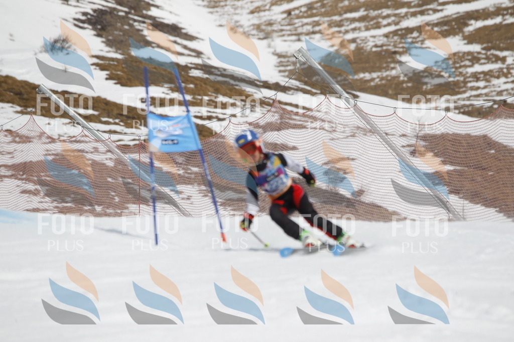 _U3G2415 | holidayphoto