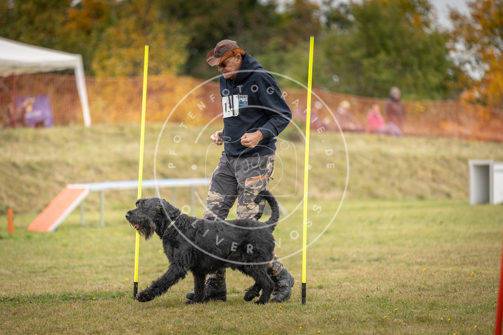 Pfotenfotografie_DV3A5303 | Hundefotografie, Tierfotograf, Pfotenfotografie, Fotoshooting Hund, Hunde Portrait, Hundesport, Hundeportraits, Heideshooting, Hunde, Sportfotograf, Hundefotograf, Turnierhundsport, THS,  - Realisiert mit Pictrs.com