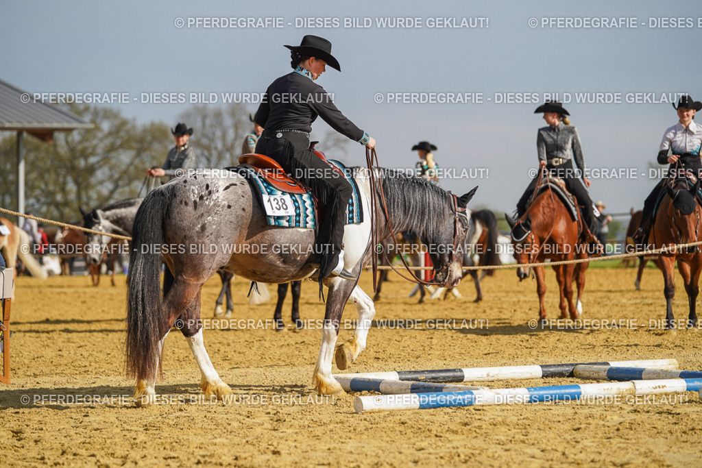 DSC01057 | Pferdegrafie