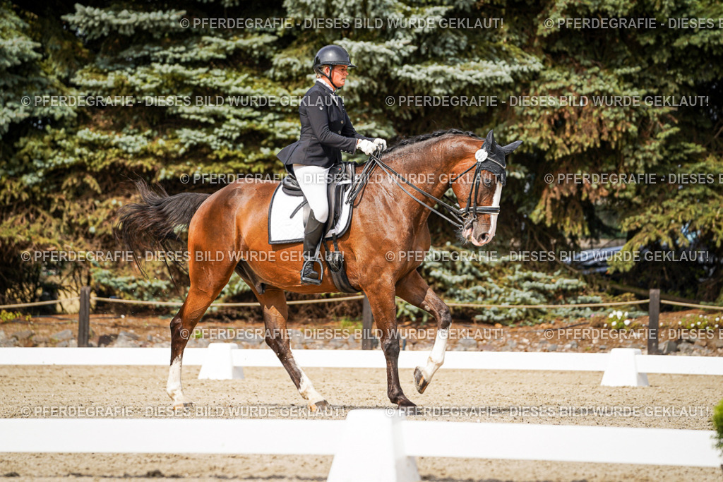 DSC06620 | Pferdegrafie