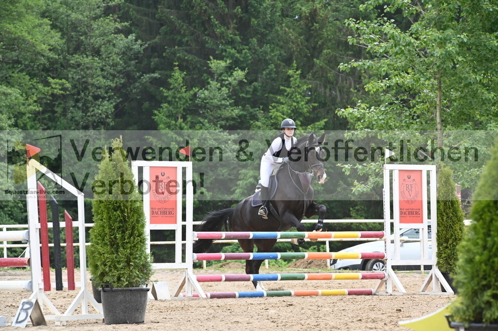 DSC_8460 | equestrian-live-com