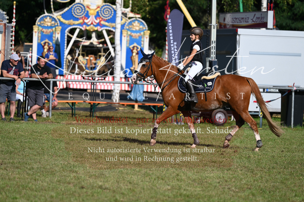 DSC_4946 | Pferde- und Turnierfotografie in Westsachsen. Pferdeportraits, Auftragszeichnungen und intuitive Kunst.