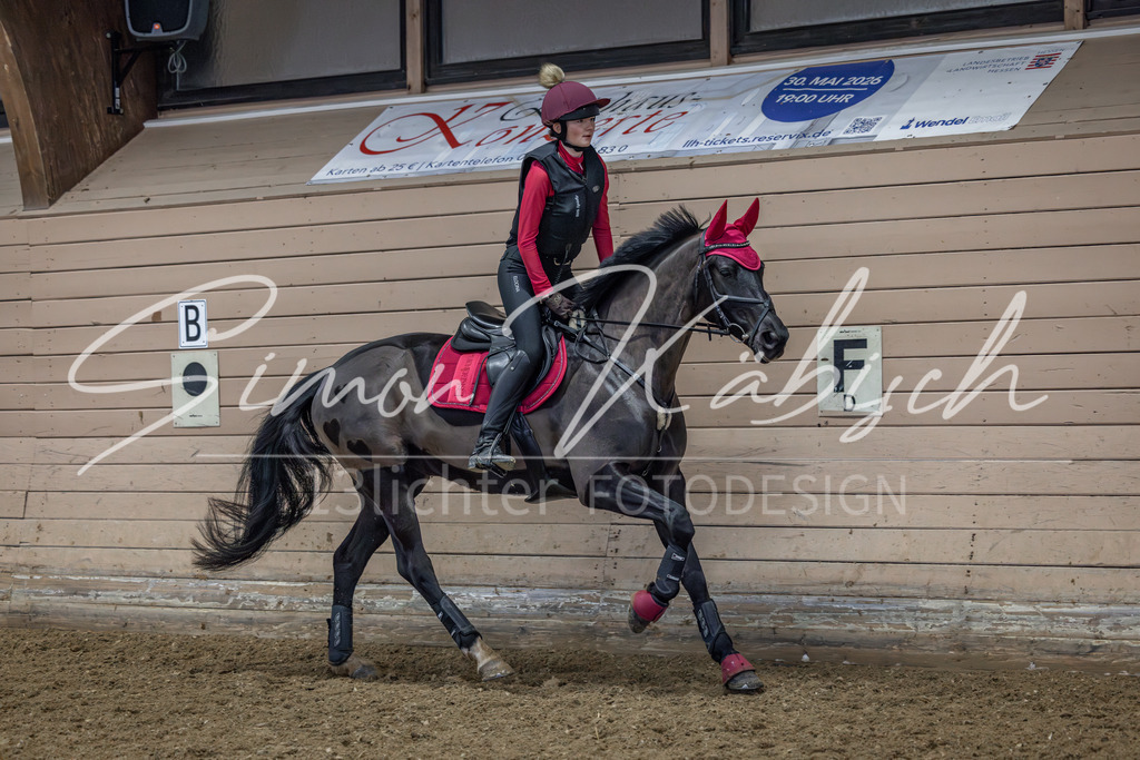 20260222-_3LI2157 | Tierfotografie Pferde, Hunde, Katzen, Haustiere.
Turnierfotografie Reitturniere, Reiten, Springreiten, Dressur in Hanau, dem Main-Kinzig-Kreis und dem Rhein-Main- Gebiet um Frankfurt