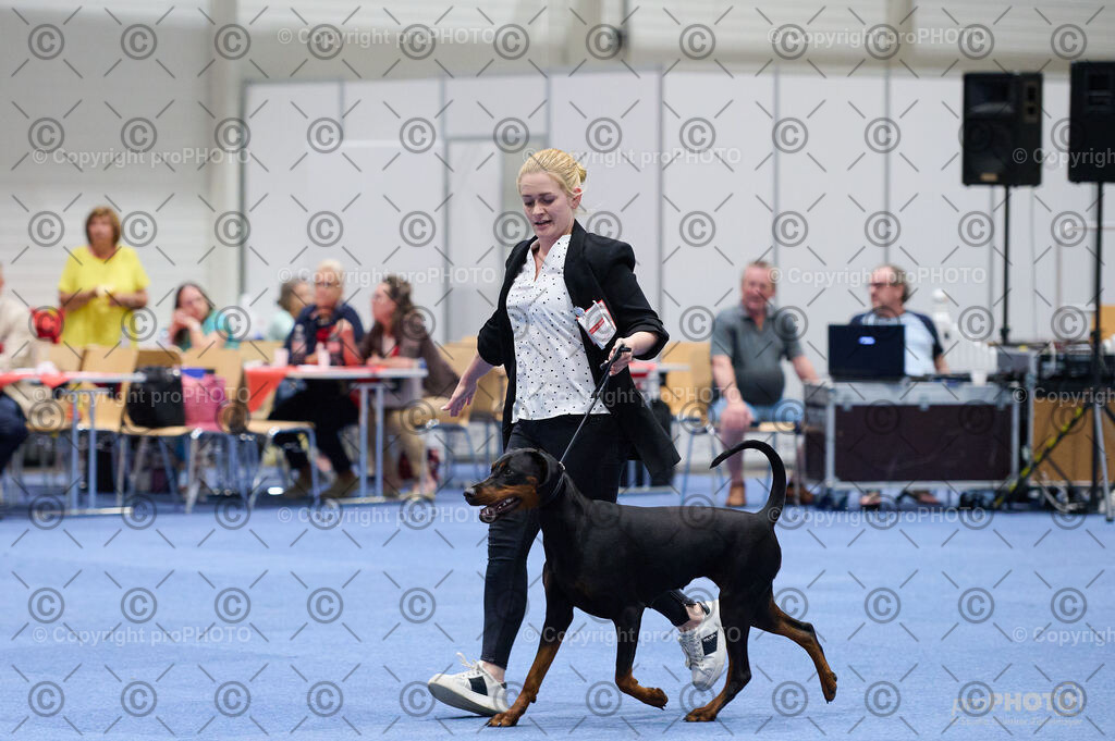 202406_ÖKV-IHA-Tulln24_DSC_3323 | proPHOTO - Realisiert mit Pictrs.com