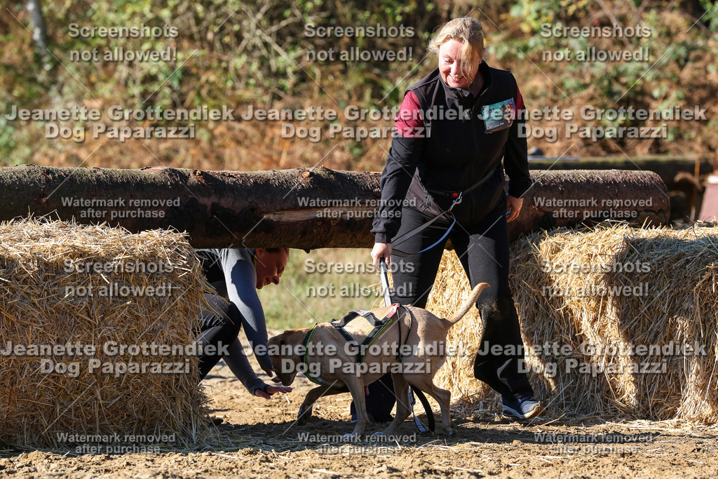 Dog Paparazzi - Strongdog 10-25-2130 | Dog Paparazzi Jeanette Grottendiek Fotografie & Videografie - Realisiert mit Pictrs.com