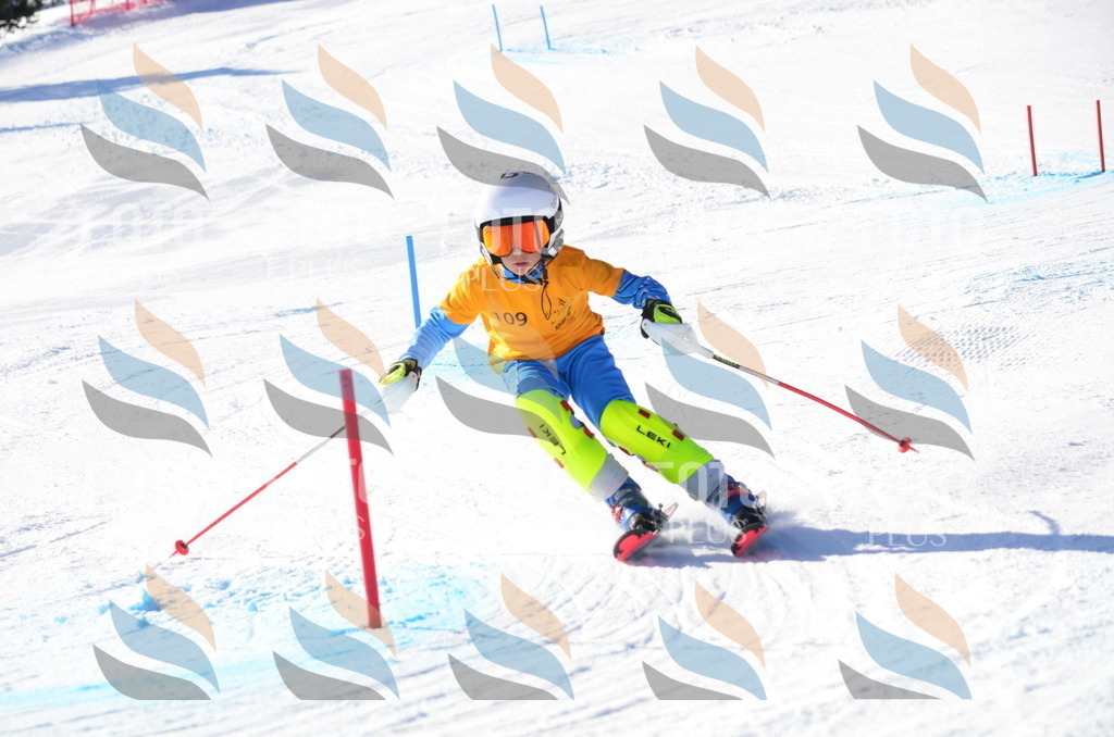 C6267 | holidayphoto