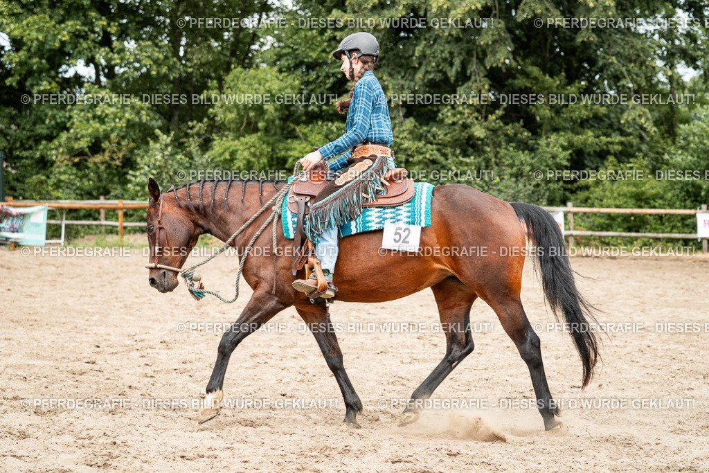 DSC01534 | Pferdegrafie