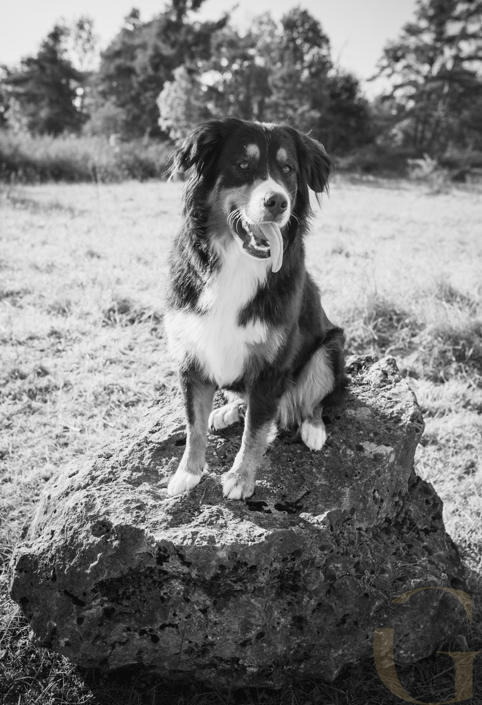 MGFoto-08610-2 | Newborn - Realisiert mit Pictrs.com