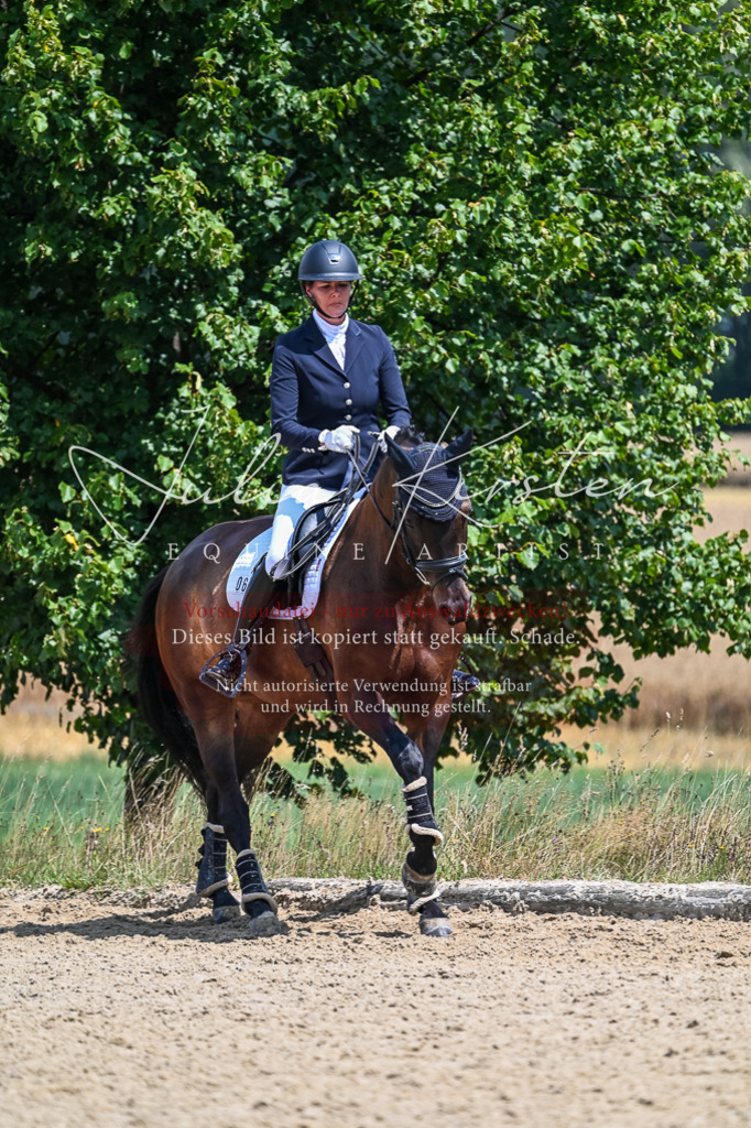 DSC_2697 | Pferde- und Turnierfotografie in Westsachsen. Pferdeportraits, Auftragszeichnungen und intuitive Kunst.