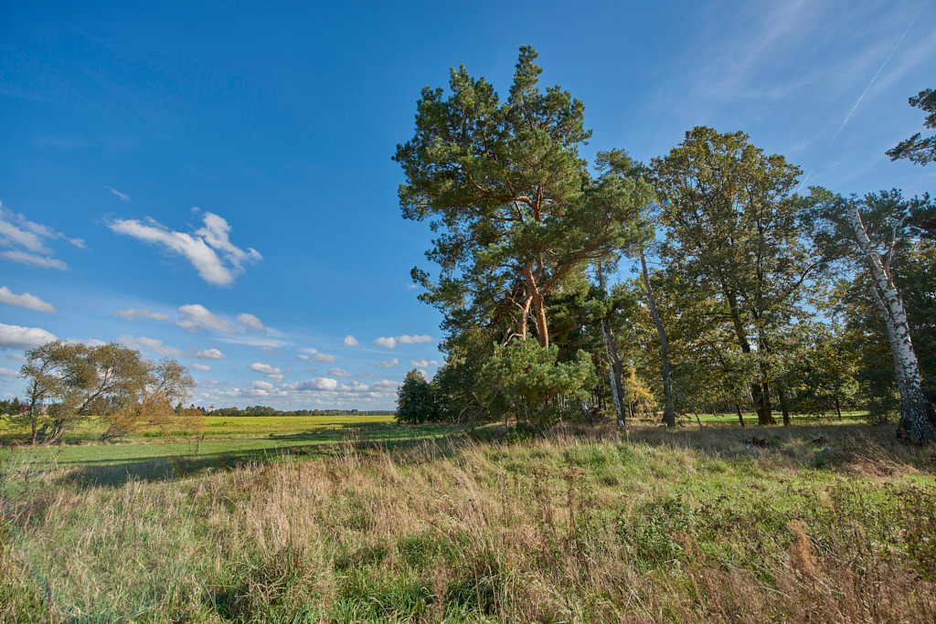 Südöstlich von Gruhno 02 | Bedeutsame Landschaften Deutschlands - Realisiert mit Pictrs.com