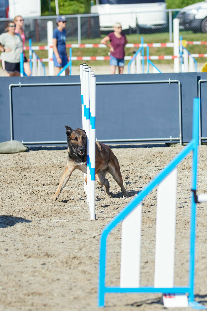 580A0163 | Peter Fridle Fotografie - Realisiert mit Pictrs.com