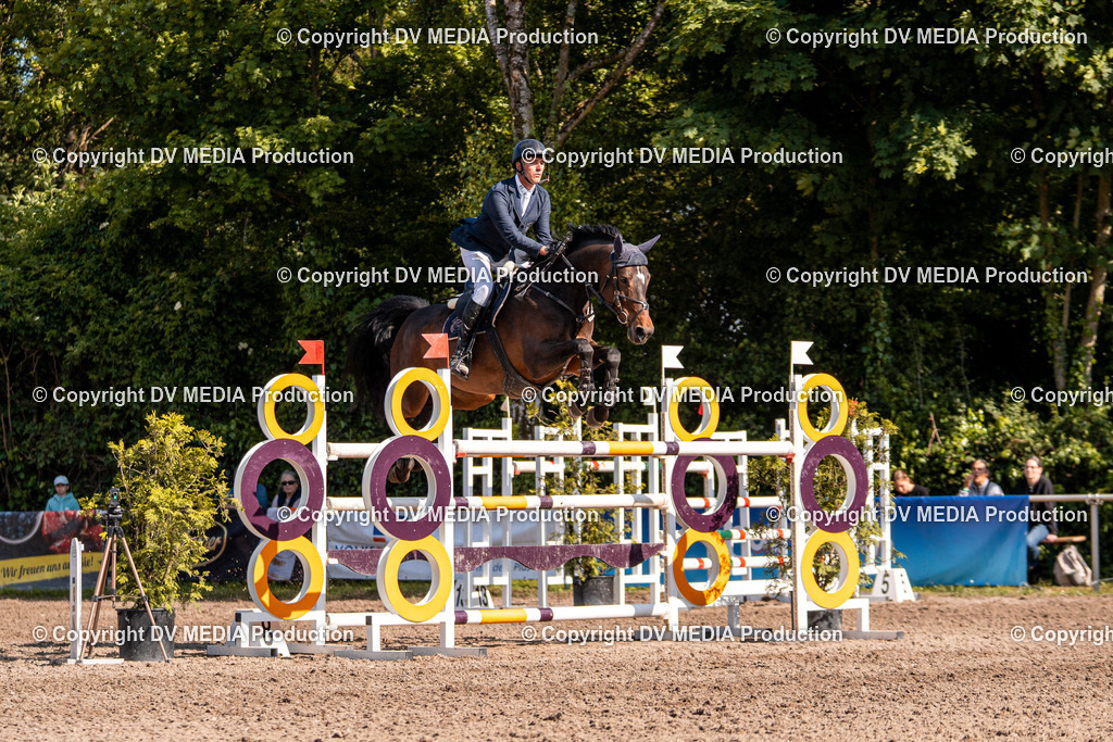 Eppelheim Tag 3-870 | dv-media-shop - Realisiert mit Pictrs.com